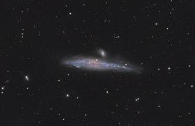 NGC4631-2.jpg