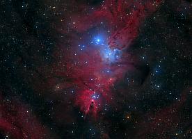 NGC2264.jpg NGC2264.jpg