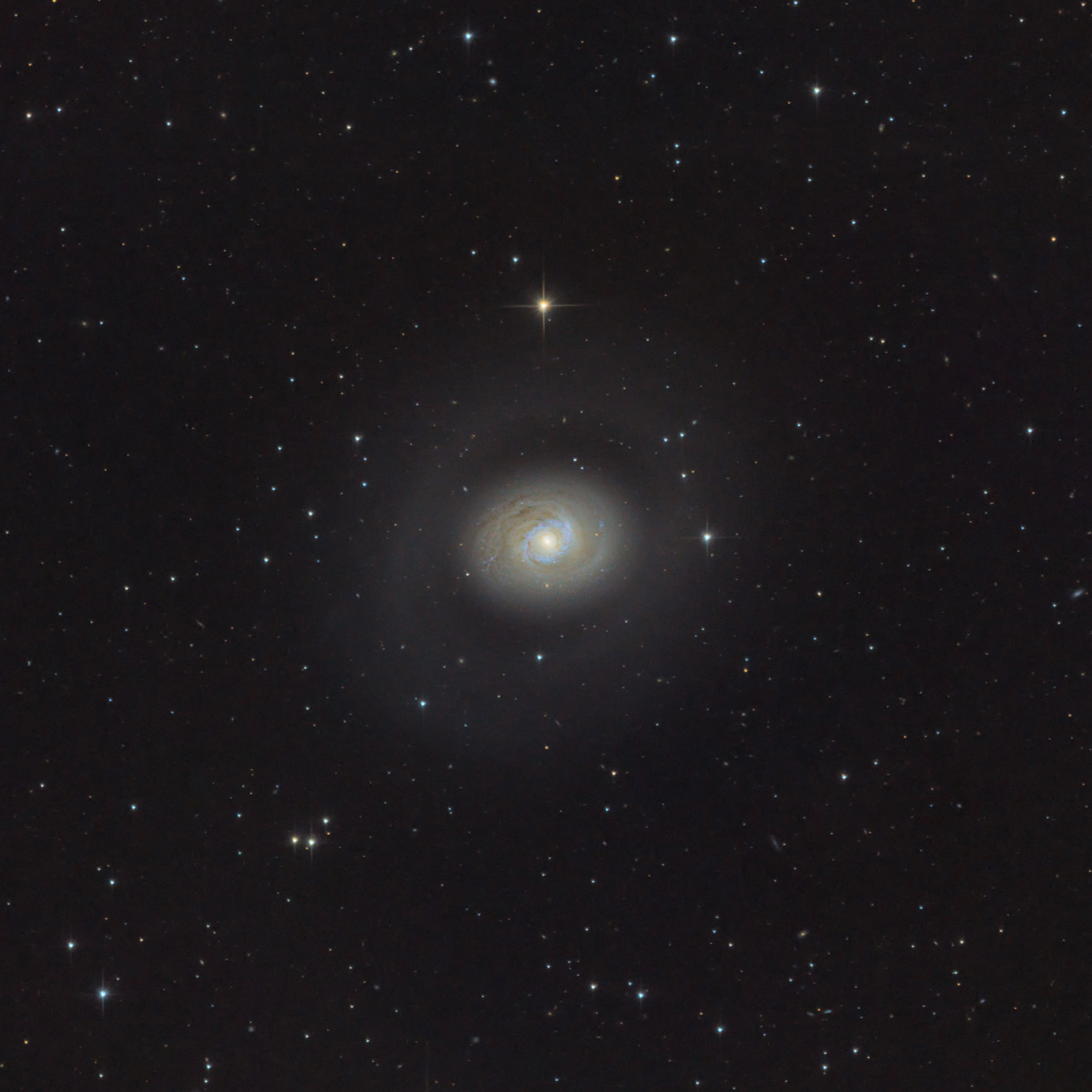 M094.jpg