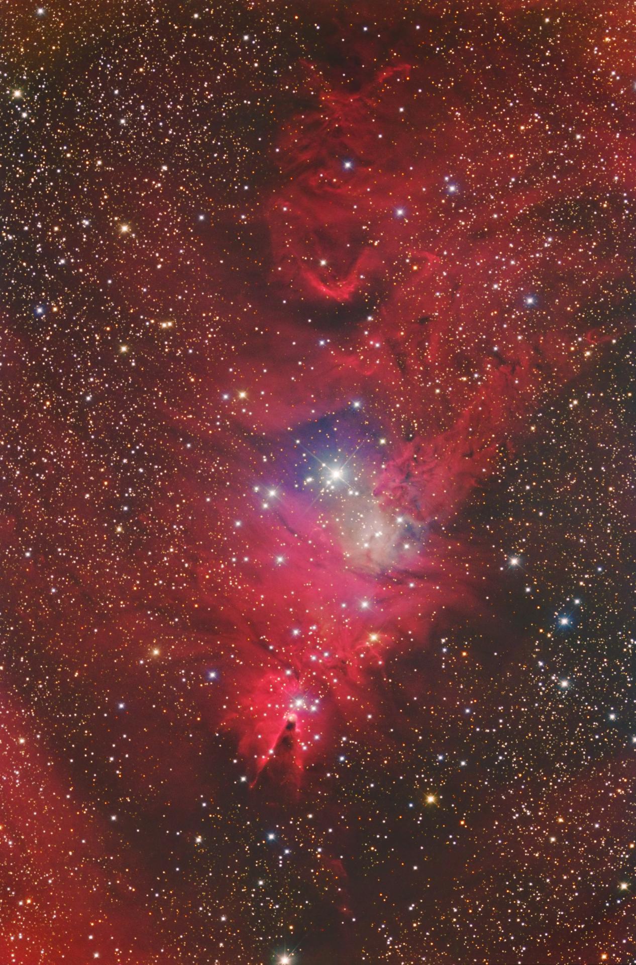NGC2264.jpg
