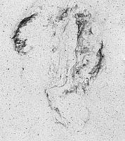 Cirrus-Nebula-H-Alpha-inv.jpg